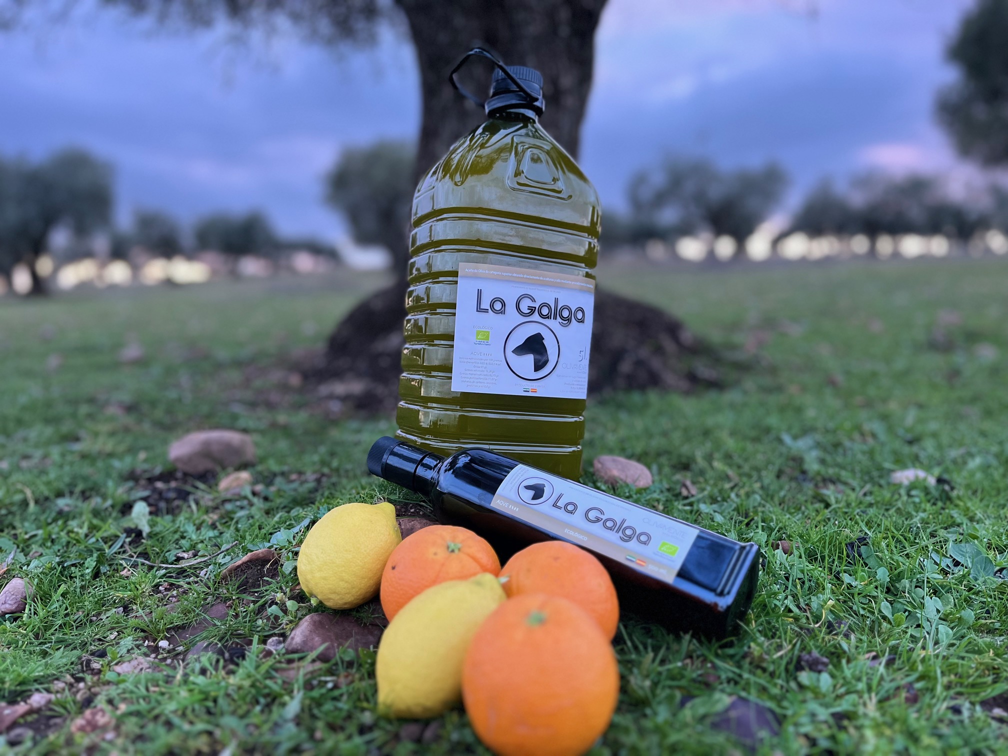 Botella de aceite de oliva virgen extra ecológico La Galga