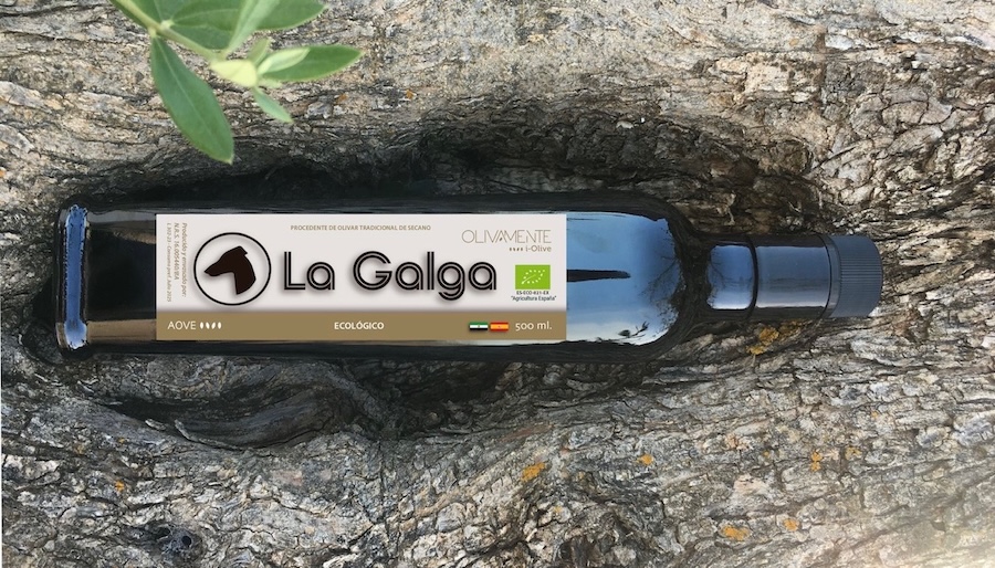 Botella de aceite La Galga sobre el suelo de la finca
